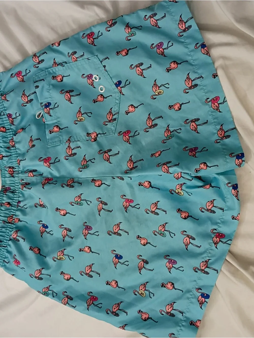 American Eagle Aqua Blue Flamingo Swim Shorts